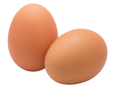 Loisirs Demo 11 Lo Coq Oeuf1